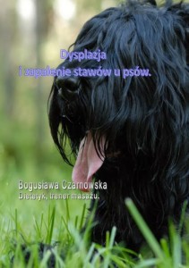 okladka